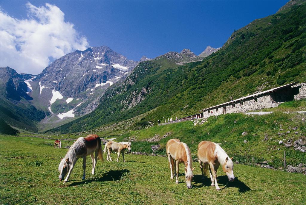 Apartment Hildegard Neustift im Stubaital Buitenkant foto